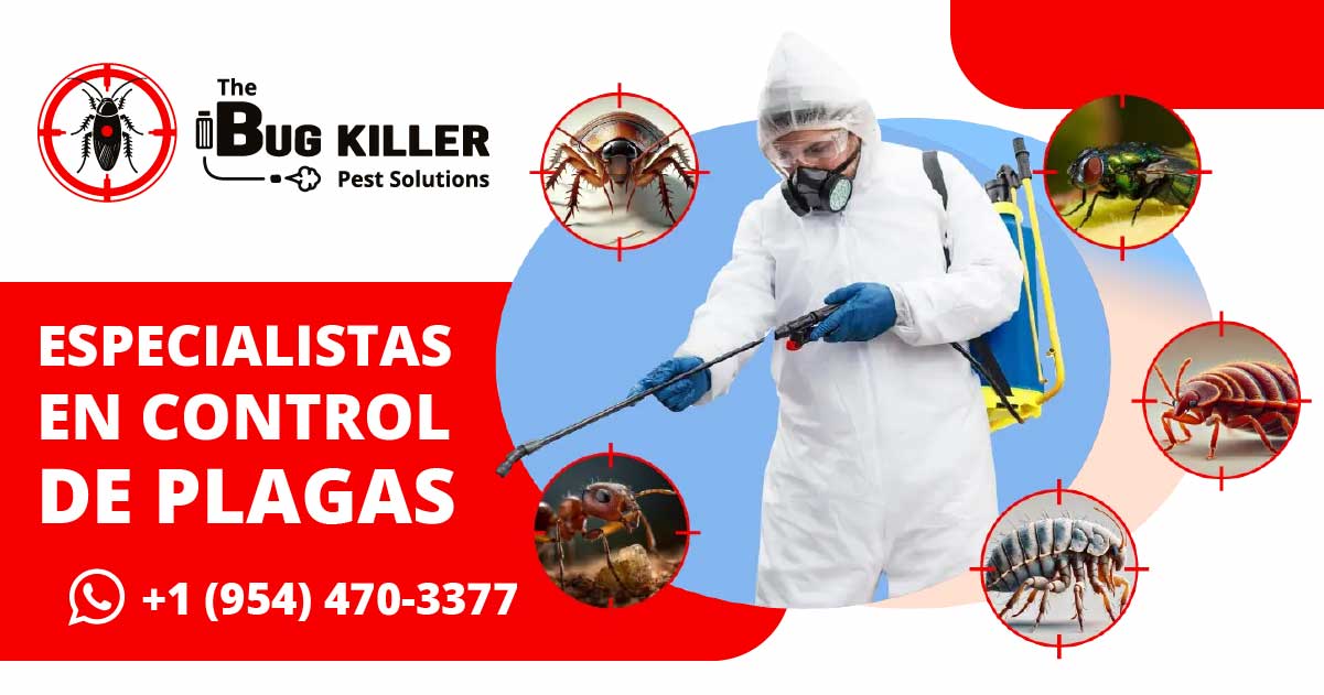 The Bug Killer Pest solutions
